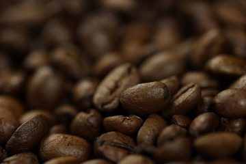 coffee beans close up background