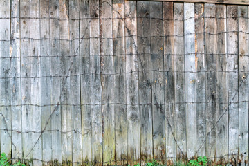 Old wooden fence with barbed wire. Barbed wire and shabby wall.
