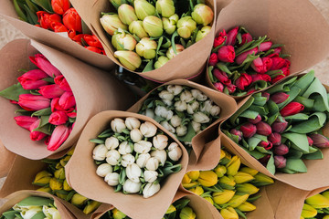 Beautiful fresh blooming multi-colored Tulip flowers freshly picked and Packed, close-up texture grown in greenhouse conditions