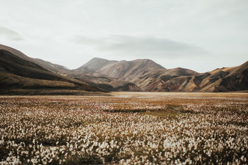 minimalist landscape in Iceland