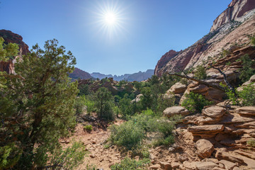 hiking the canyon overlook trail in zion national park, utah, usa