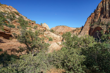 Fototapeta na wymiar hiking the canyon overlook trail in zion national park, utah, usa
