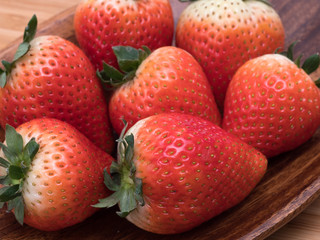 イチゴ　栃木i37号