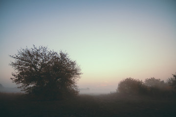 fog on landscape