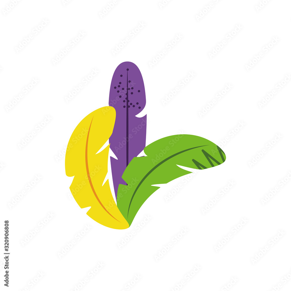 Poster isolated feathers plumes vector design