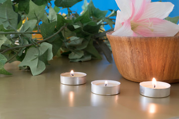 Zen spa setting to enhance meditation or therapy and being with in a natural setting