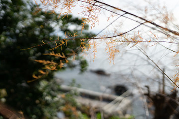 Genova Nervi is a rustic seaside Italian town in Italian Riviera