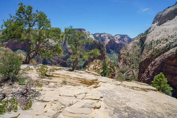 hiking west rim trail in zion national park, usa