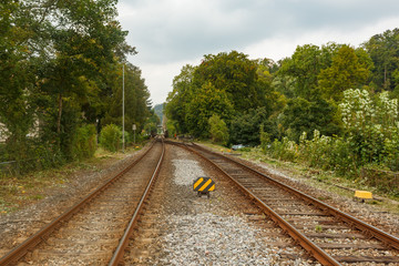Fototapeta na wymiar Railway in the forest