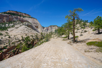 hiking west rim trail in zion national park, usa