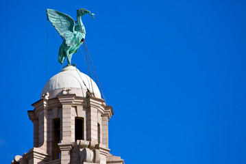 Liver Bird Perched on the Royal Liver Building