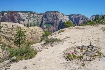 hiking west rim trail in zion national park, usa