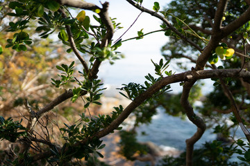 Genova Nervi is a rustic seaside Italian town in Italian Riviera