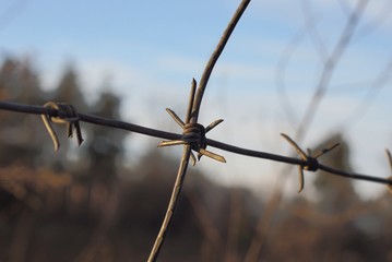 gray iron barbed wire in a fence on a street on a blue background