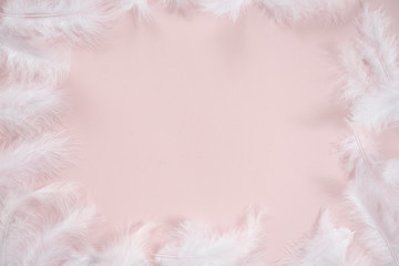 Fototapeta na wymiar white feathers in a circle on a pink background