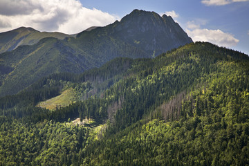 View of High Tatras mountains near Zakopane. Poland