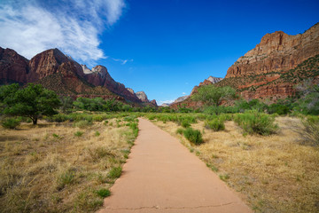 the watchman from parus trail in zion national park, usa