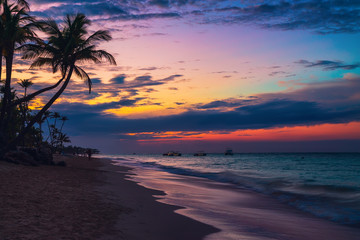 Palm trees on the tropical beach