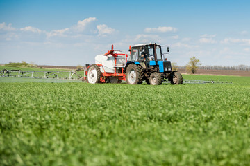 Fototapeta premium Application of fertilizer and fungicide on a wheat field in spring.