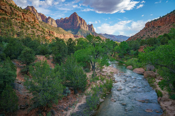the watchman from parus trail in zion national park, usa