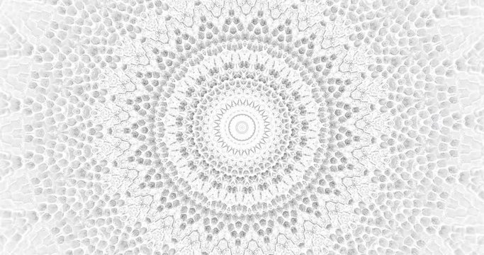 Skin snake background White snake skin texture Close-up 