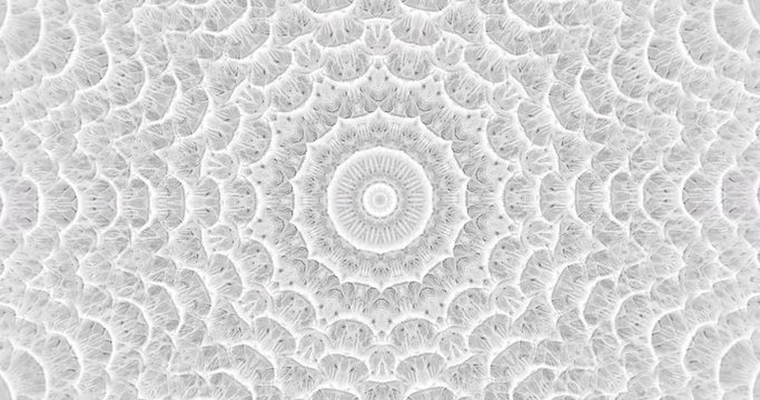 Skin snake background White snake skin texture Close-up 