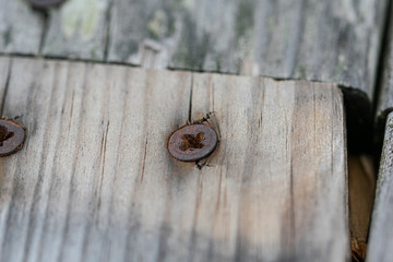 macro de tornillo oxidado