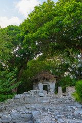 Ruins of ancient Xaman Ha Architecture of ancient maya. Lush greenery of nature. Travel photo. Wallpaper or background. Yucatan. Mexico.