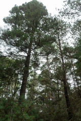 campamento en el terrero