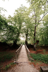 rustic wooden bridge in the green forest in the Carpathian mountains