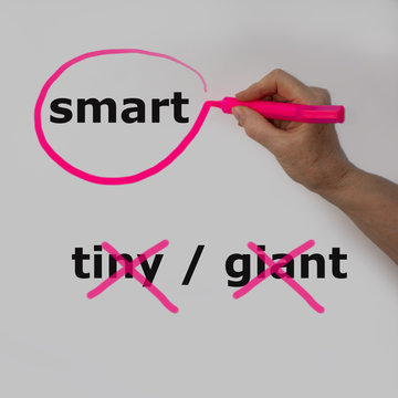 The word smart is circled with a pink pencil by a hand with a bubble, the words tiny / giant are crossed out