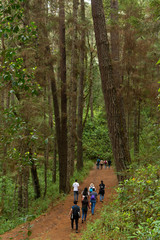 campamento en el terrero