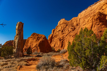 Fototapeta premium Blue Sky Over Spires and Sandstone of Kodachrome Basin