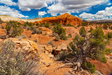 Desert Views of Kodachrome Basin
