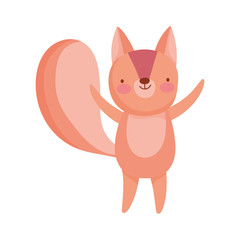 cute squirrel cartoon character on white background