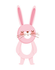 cute little rabbit cartoon character on white background
