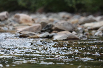Pritchard Creek Close-Up