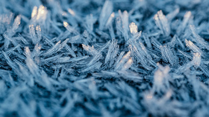 Frost in macro close-up during early winter morning.