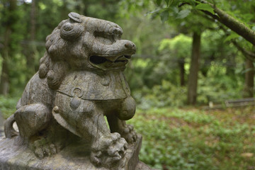 Close up of stone lions