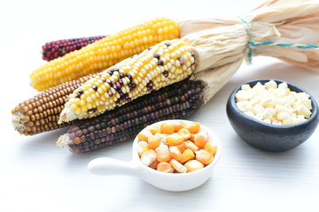 Diversity of very colorful, organic and natural ears