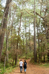 Fototapeta premium campamento en el terrero