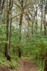campamento en el terrero