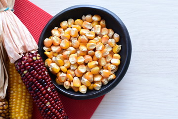Diversity of very colorful, organic and natural corn