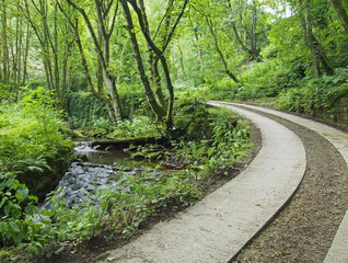 a narrow country road running uphill in green summer woodland next to a stream surrounded by...