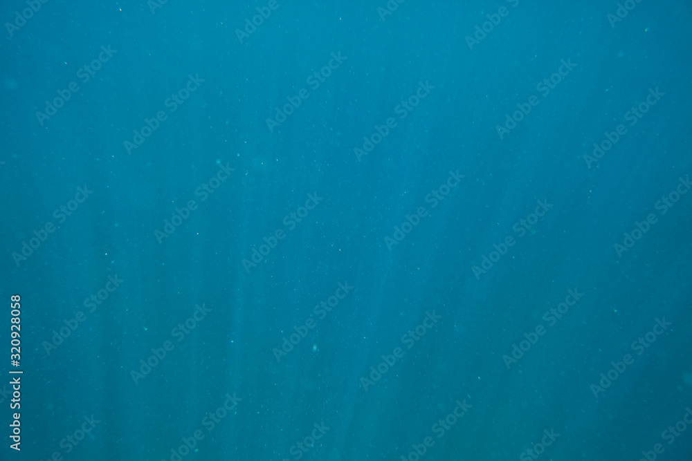 Wall mural Abstract under sea water background with marine plankton.