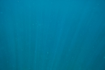 Fototapeta na wymiar Abstract under sea water background with marine plankton.