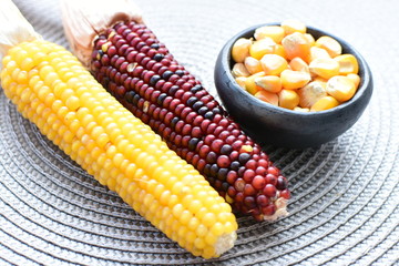Diversity of very colorful, organic and natural corn