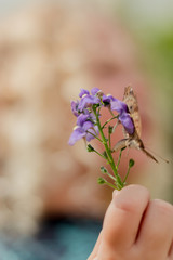flower with butterfly held by out of focus child