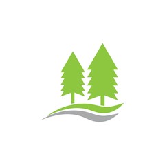 cedar tree logo vector