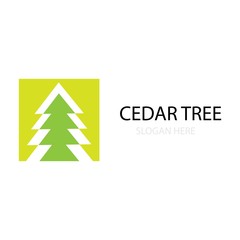 Fototapeta na wymiar cedar tree logo vector